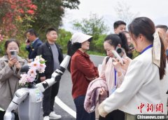 中国兴起机器人“陪游”新旅行